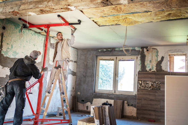 Best Insulation Maintenance and Repair in Aurora, MN