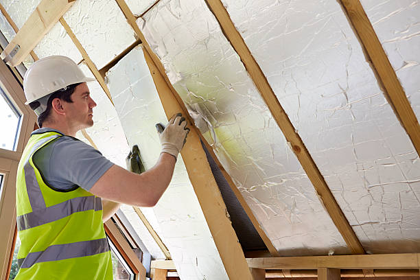 Best Commercial Insulation in Aurora, MN