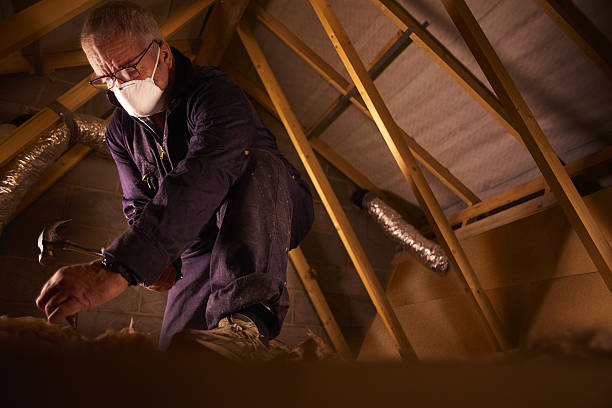 Best Insulation Maintenance and Repair in Aurora, MN